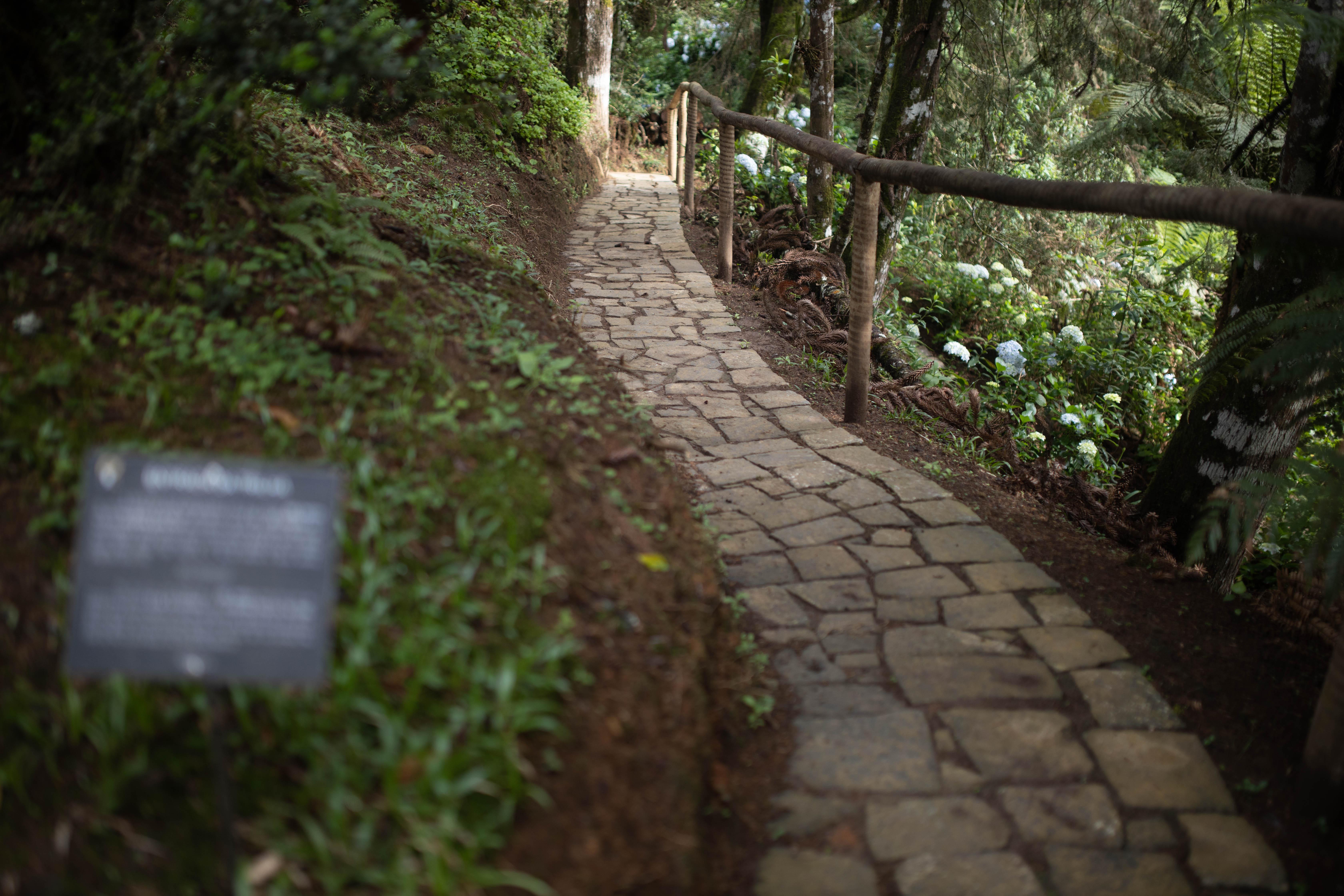 Quebra-noz Conforto E Natureza 3*